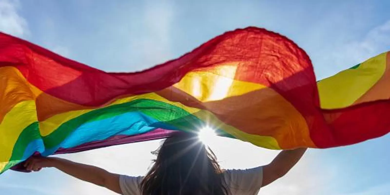 A História Do Movimento Lgbt Brasileiro