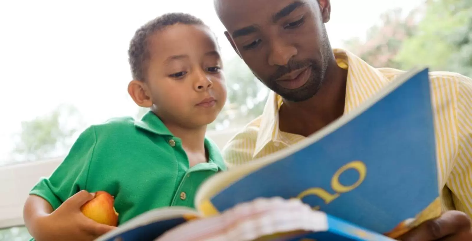 A Importância Da Leitura Em Família Para O Desenvolvimento Escolar