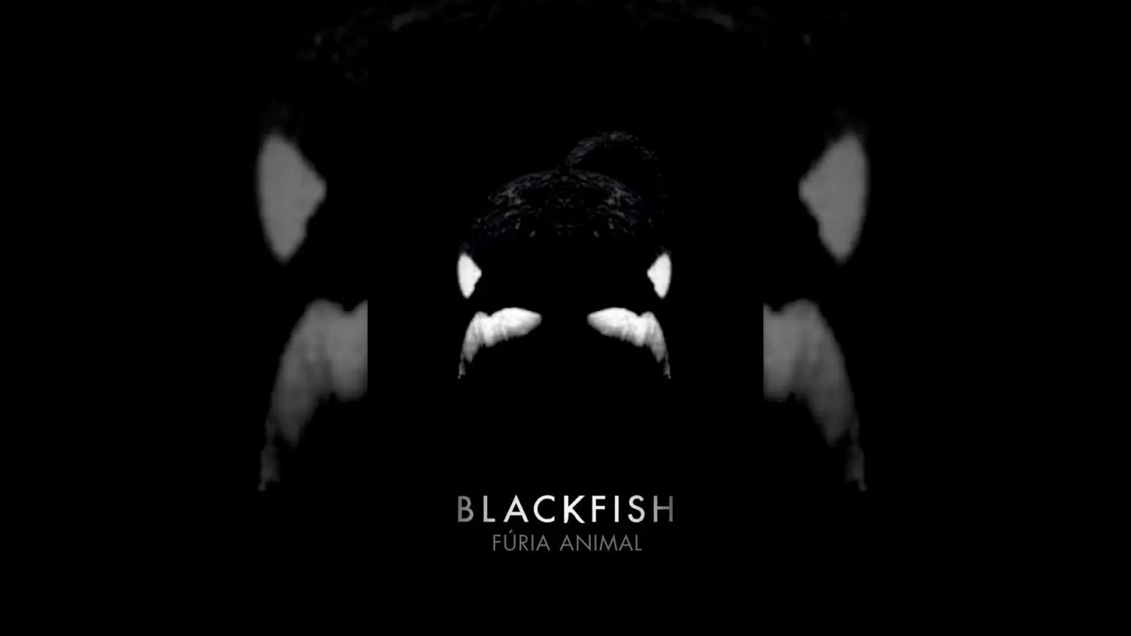 "Blackfish Fúria Animal" - Documentário