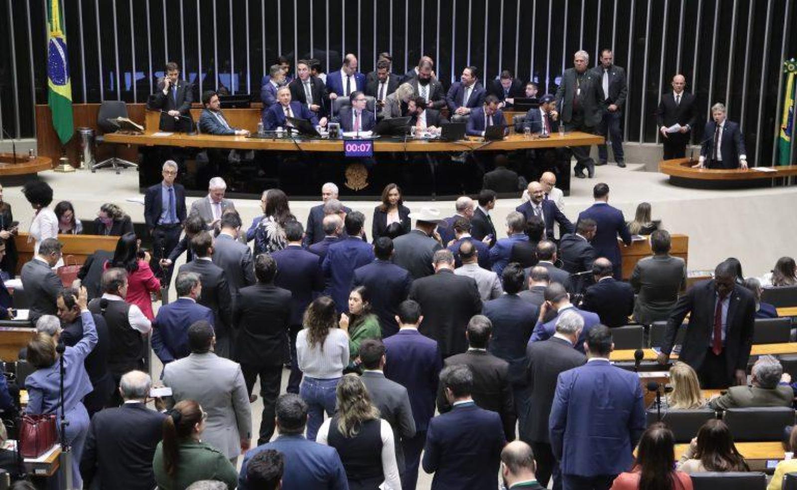 Câmara aprova projeto que proíbe uso de animais em testes de cosméticos  