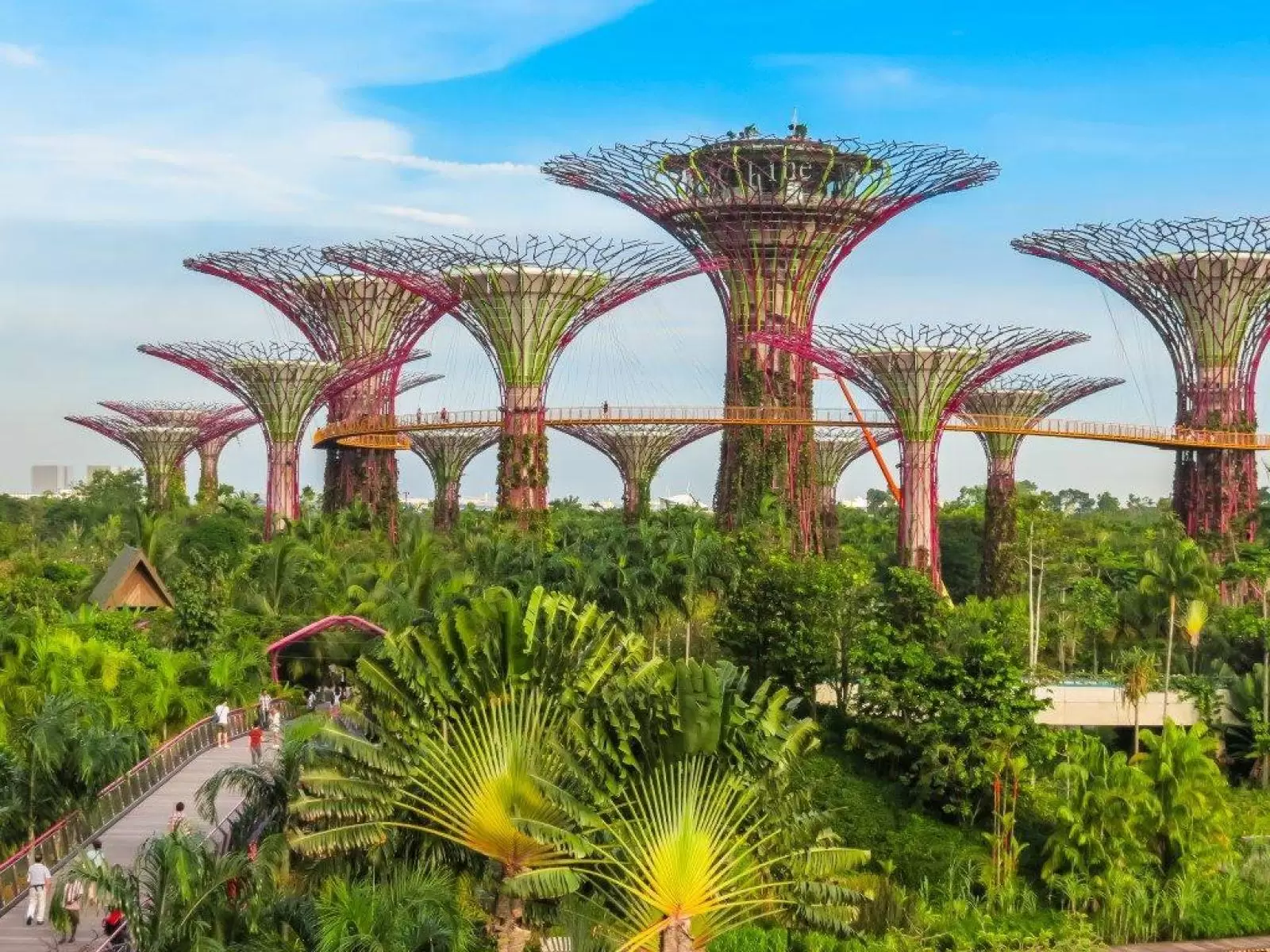 Cidades Verdes: O Que São E Quais Suas Estratégias