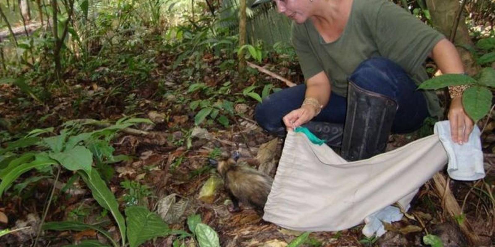 Cientista e mulher na Amazônia: o que contam pesquisadoras brasileiras que trabalham na região