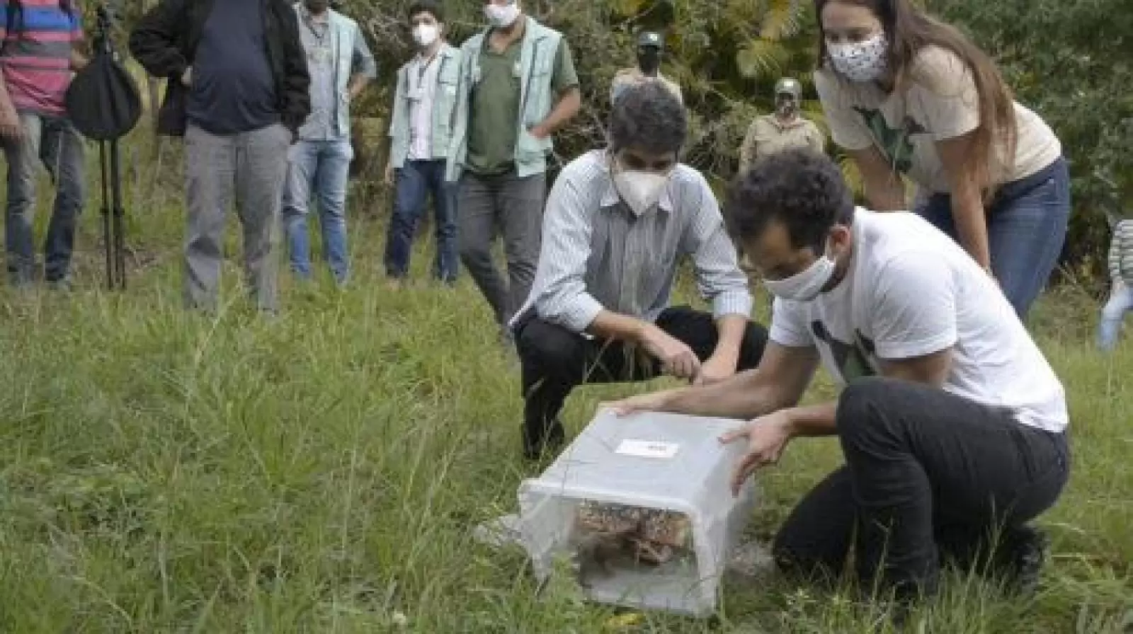 CONHEÇA O TRABALHO DO INSTITUTO VIDA LIVRE