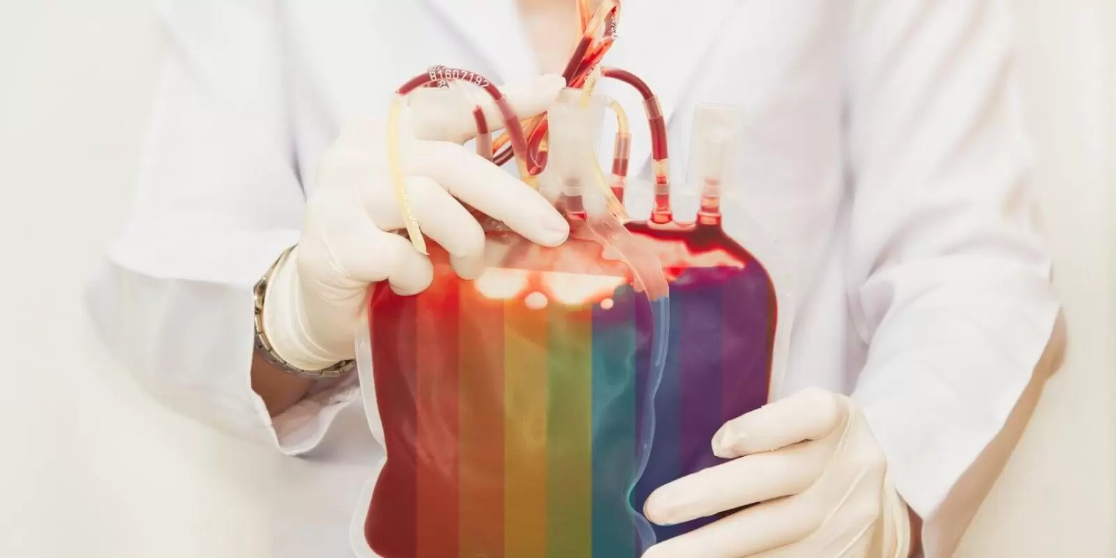 Doadores De Sangue: A Decisão Que Incluiu Os Homens Homossexuais