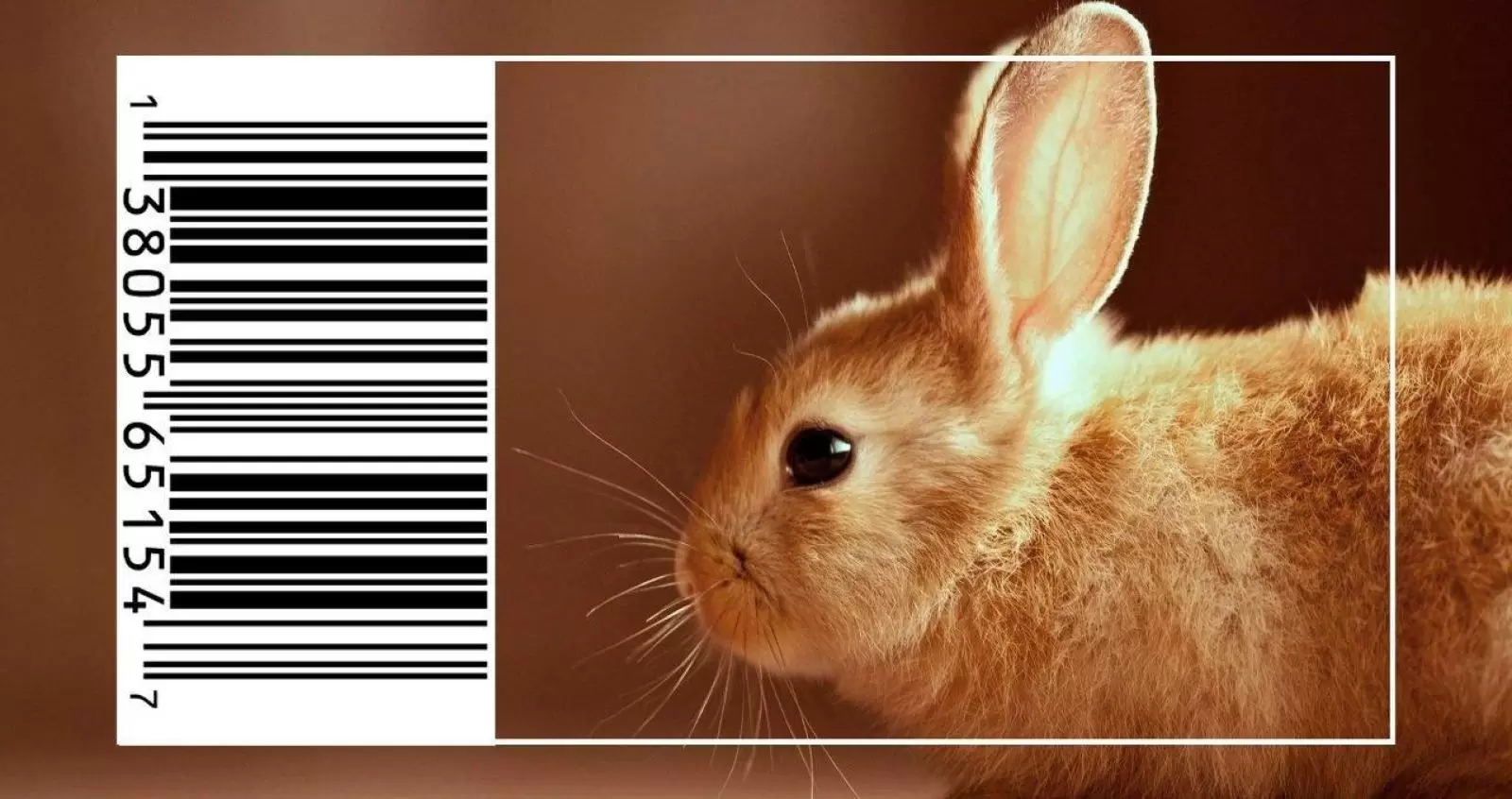 Fim Dos Testes De Cosméticos Em Animais: Natura E The Body Shop Juntas Na Causa