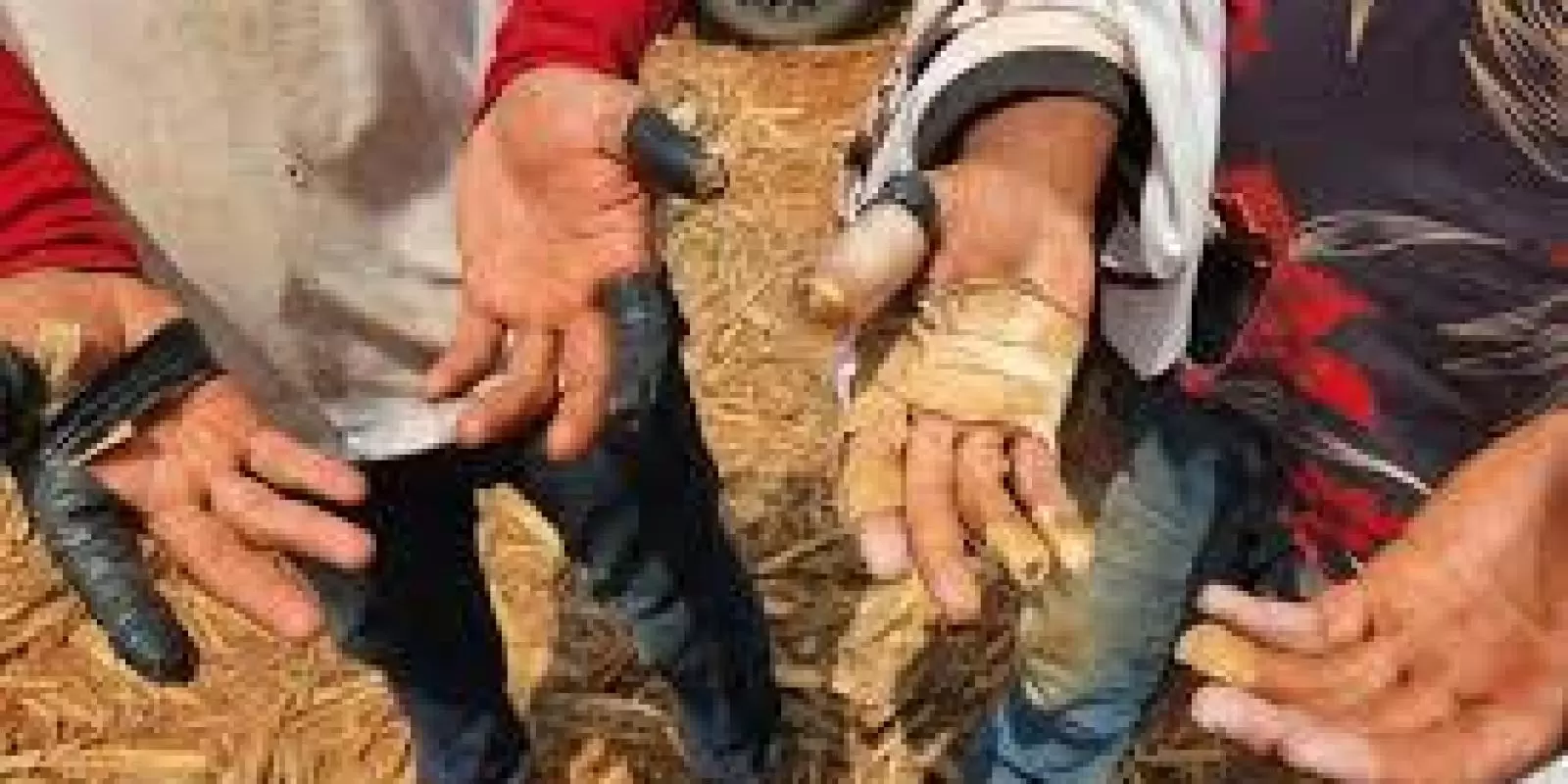 Lucro com trabalho forçado aumenta 37% no mundo, aponta OIT