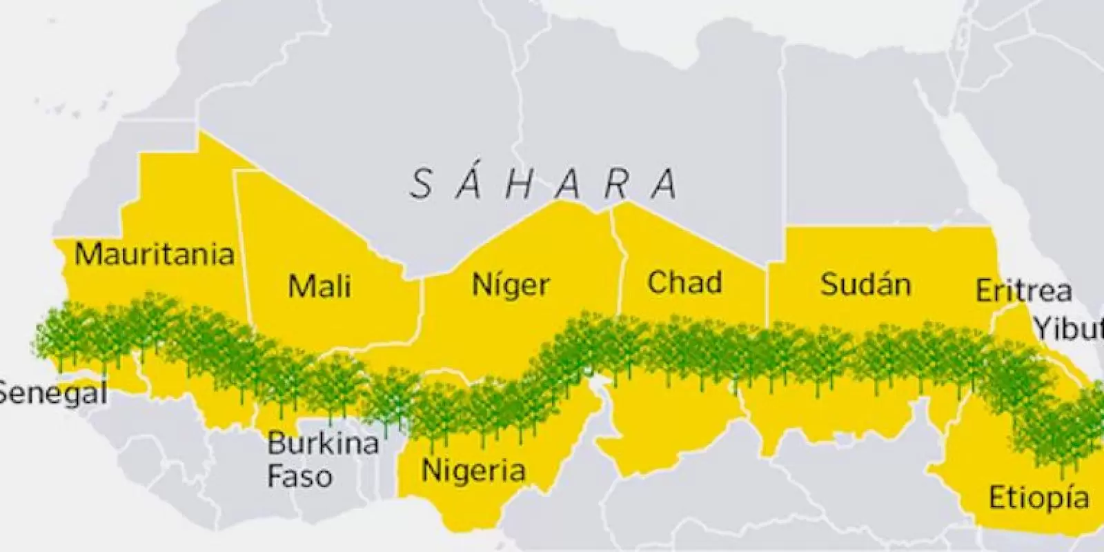 Muralha verde: quilômetros de árvores prometem ajudar contra aquecimento global