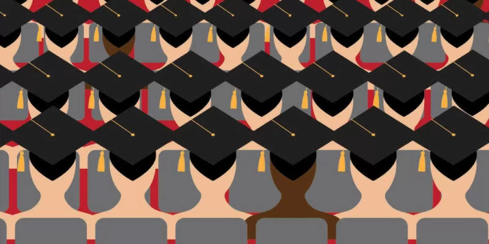 O Sistema De Cotas Na Unb