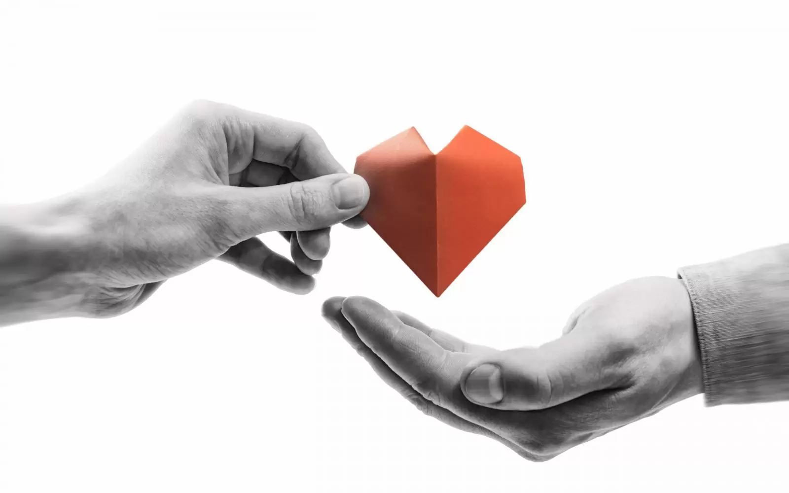 Solidariedade- Rubem Alves