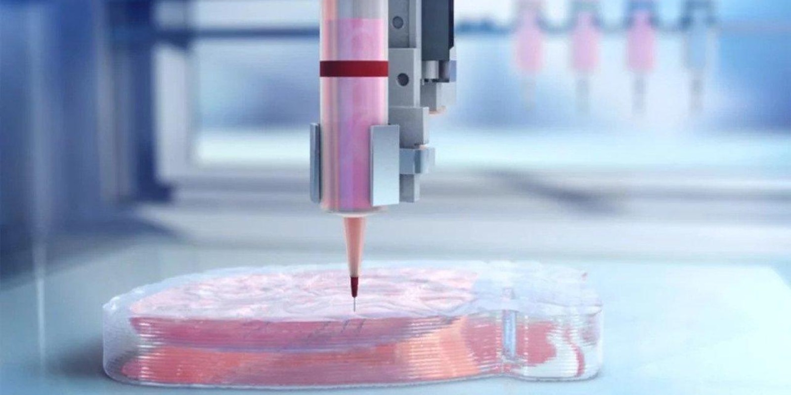 Bioprinting 3D e 4D: o futuro do desenvolvimento de medicamentos