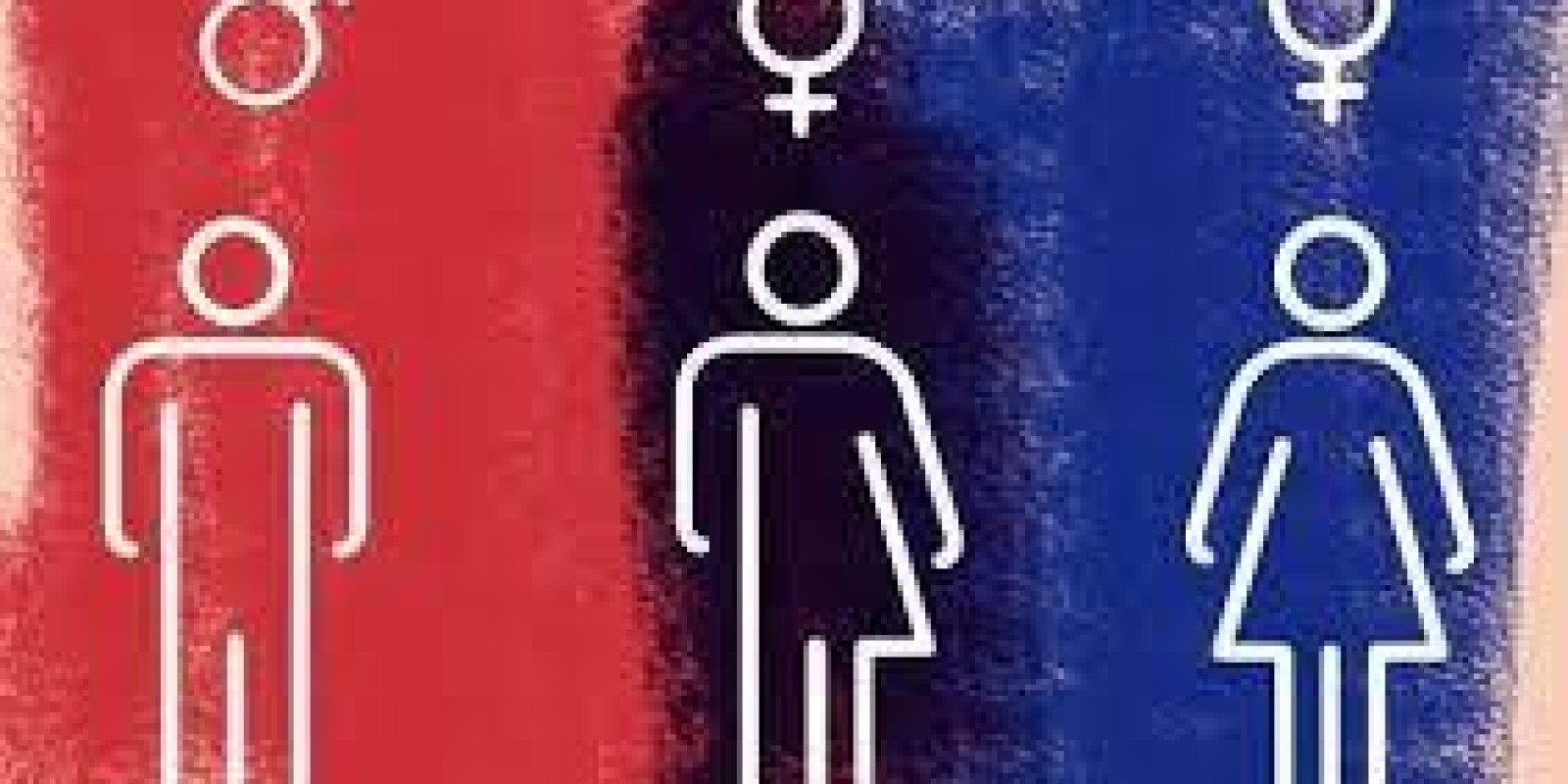 Gênero E Diversidade Sexual: Uma Questão De Direitos Humanos