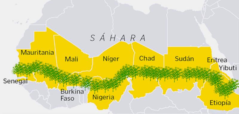 A Grande Muralha Verde, iniciada em 2007 na África, ganha ‘floresta olímpica’ com 355 mil árvores